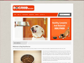 Seo Services Company Noida Uttar Pradesh